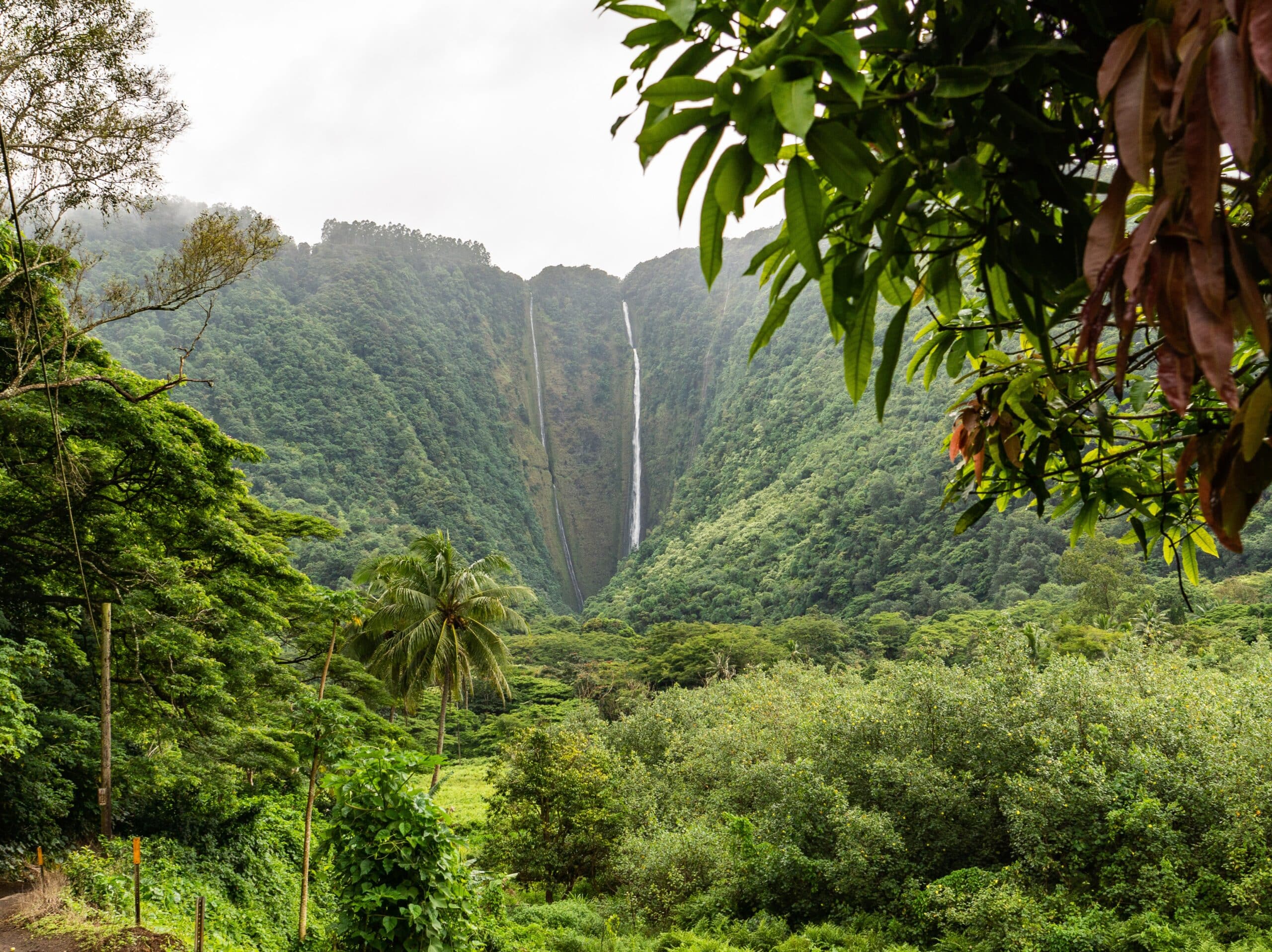 Best Lasik Surgery In Honolulu Hawaii Best Lasik Surgery In Honolulu Hawaii