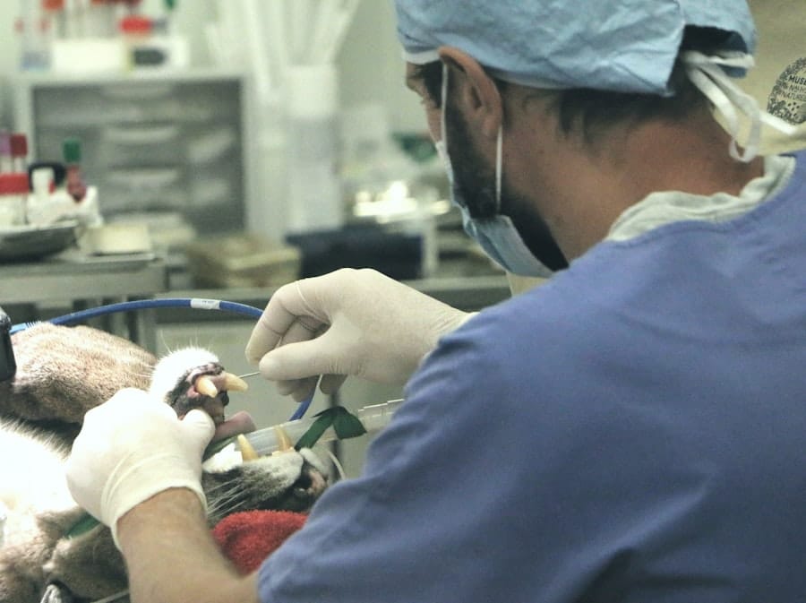Photo Lasik Surgery