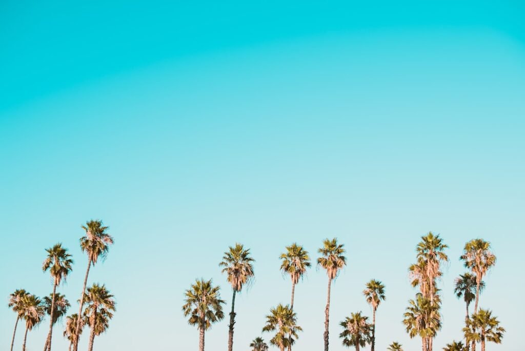 Photo Lasik Frisco Tx