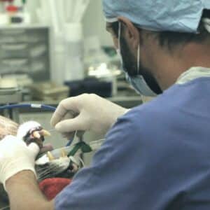 Photo Lasik Procedure