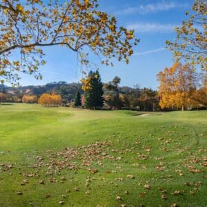 Photo Lasik Specialist