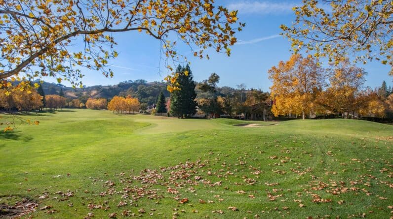 Photo Lasik Specialist