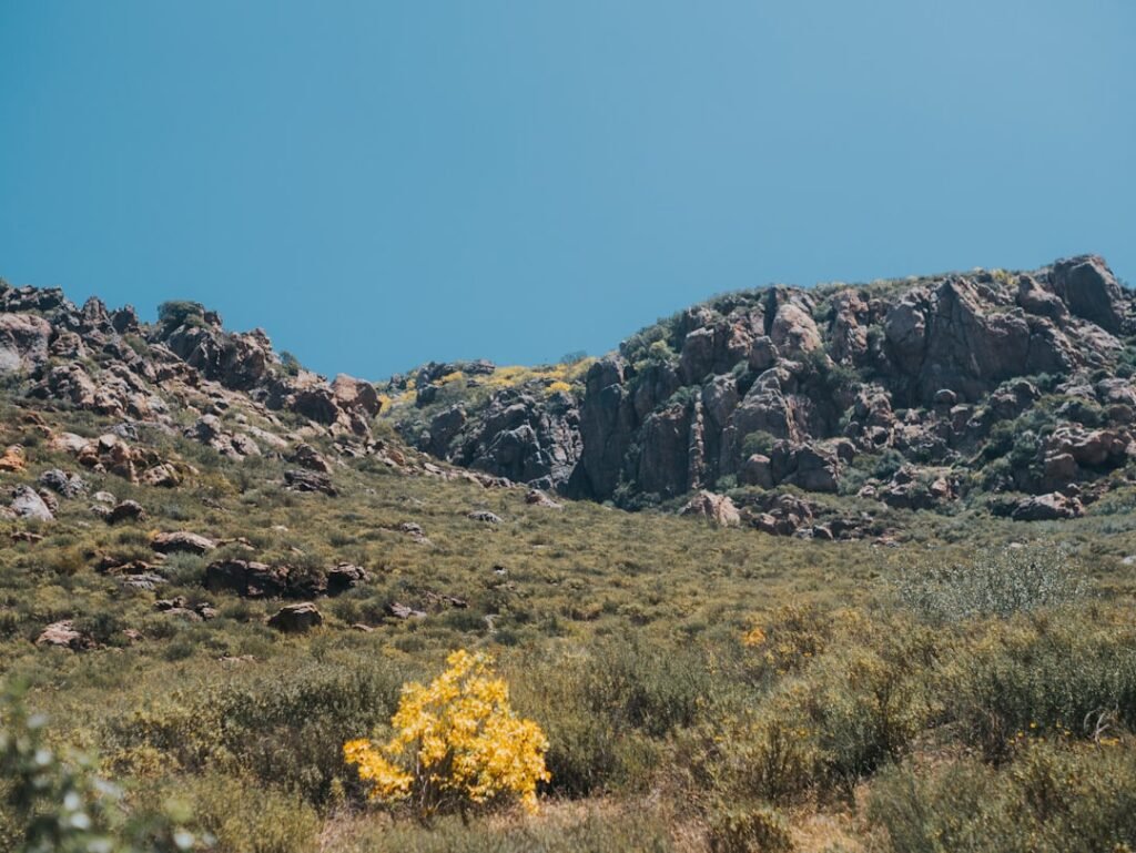 Photo Lasik Vs Prk Chandler Arizona